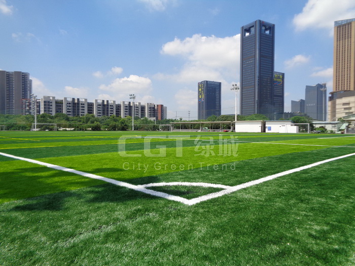 DSC00447.JPG DSC00447.JPG