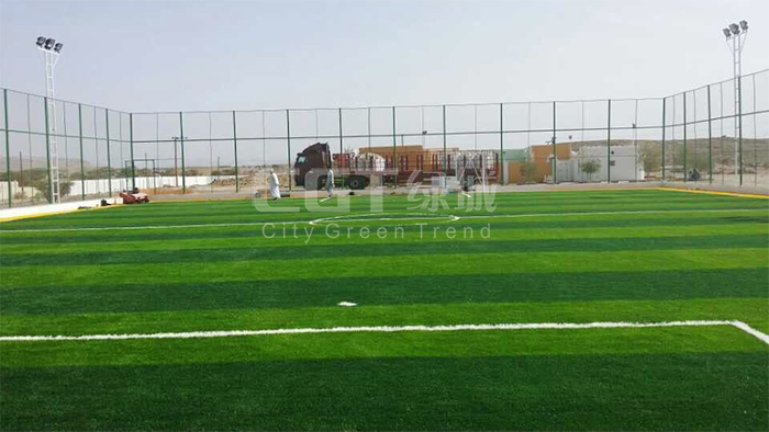 阿曼钻石单丝-(2).jpg 阿曼钻石单丝-(2).jpg