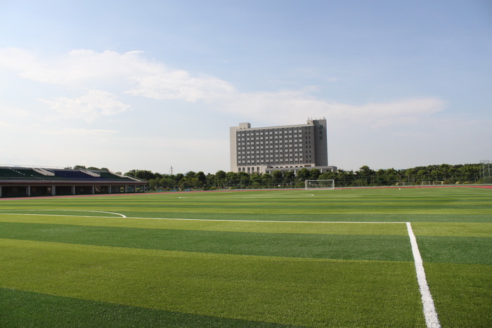 IMG_4616.JPG IMG_4616.JPG