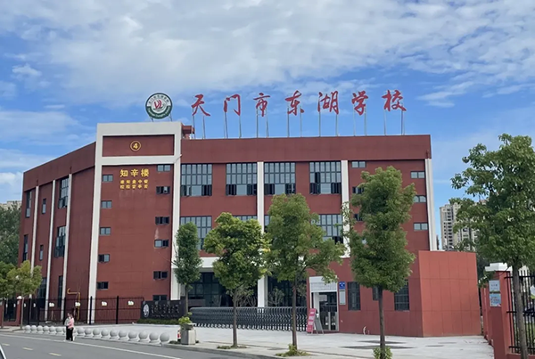 中小学操场人造草坪