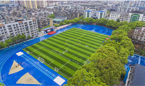 绿城体育学校运动场人造草坪亮相体博会，全环保专用人造草坪守护学生健康